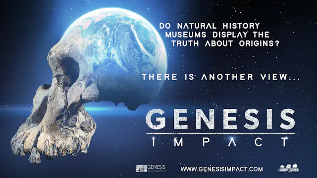 Genesis Impact: There Is Another View