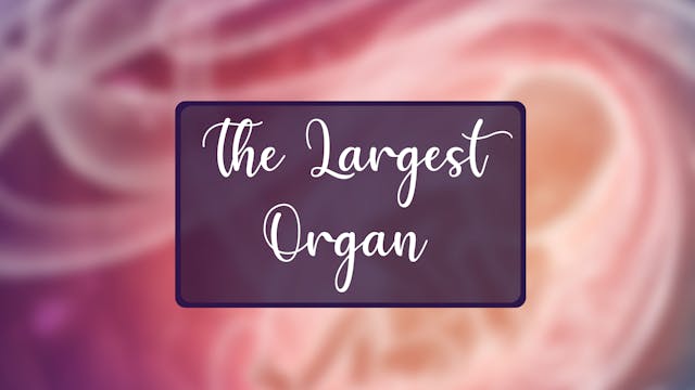 May 2024: The Largest organ