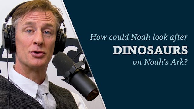 S8E28 How could Noah look after dinos...
