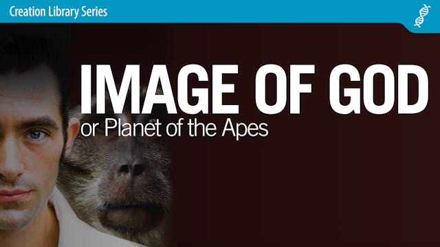 Image of God or Planet of the Apes - ...
