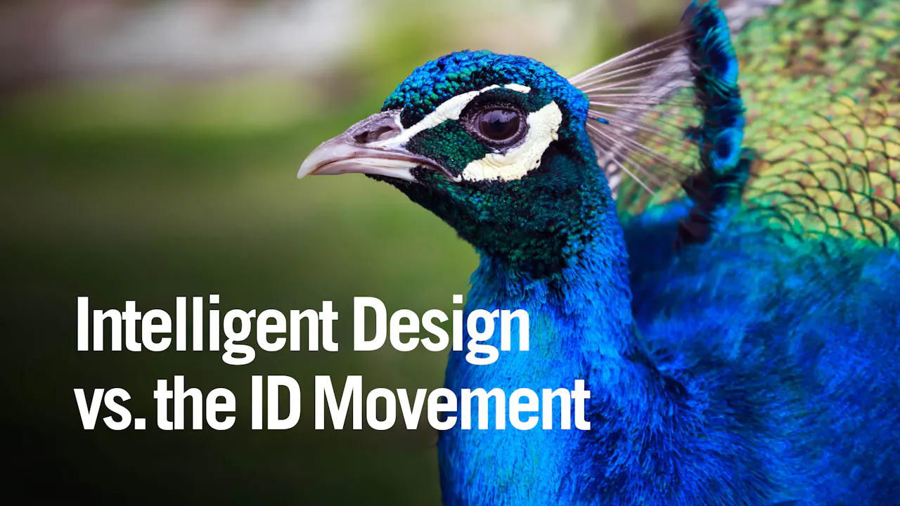 Intelligent Design vs the Intelligent Design Movement (2020) - History ...