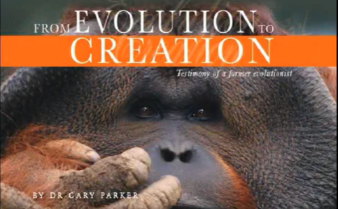 Evolution to Creation