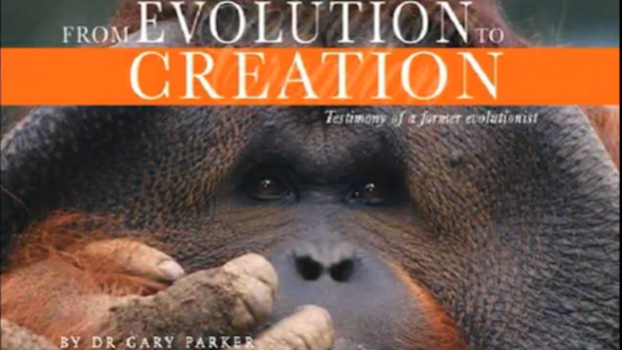 Evolution to Creation