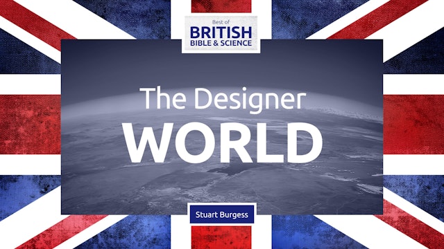 The Designer World