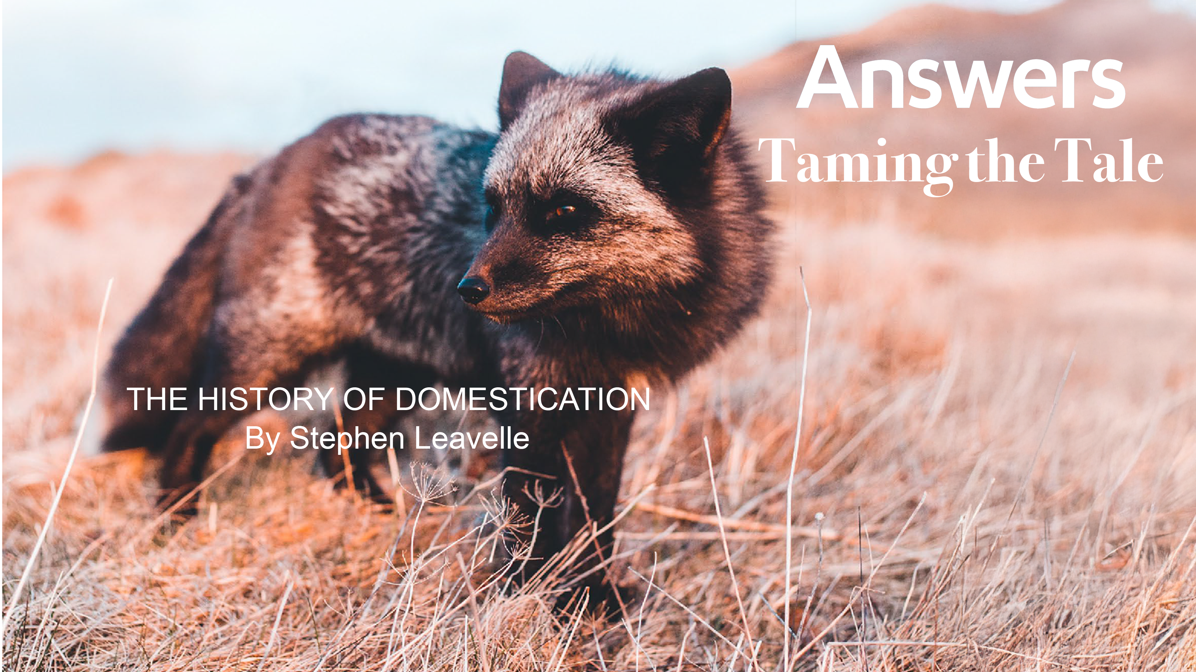 Taming the Tale: The History of Domestication (Answers Audio Article)