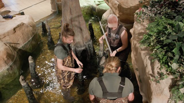 S1E1 The Lobby Aquarium