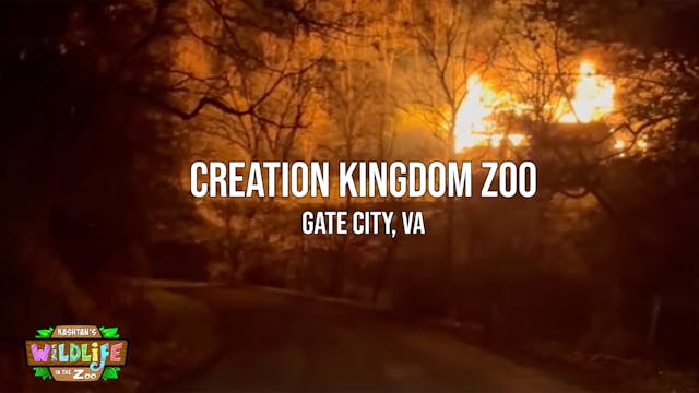 Fire at the Creation Kingdom Zoo