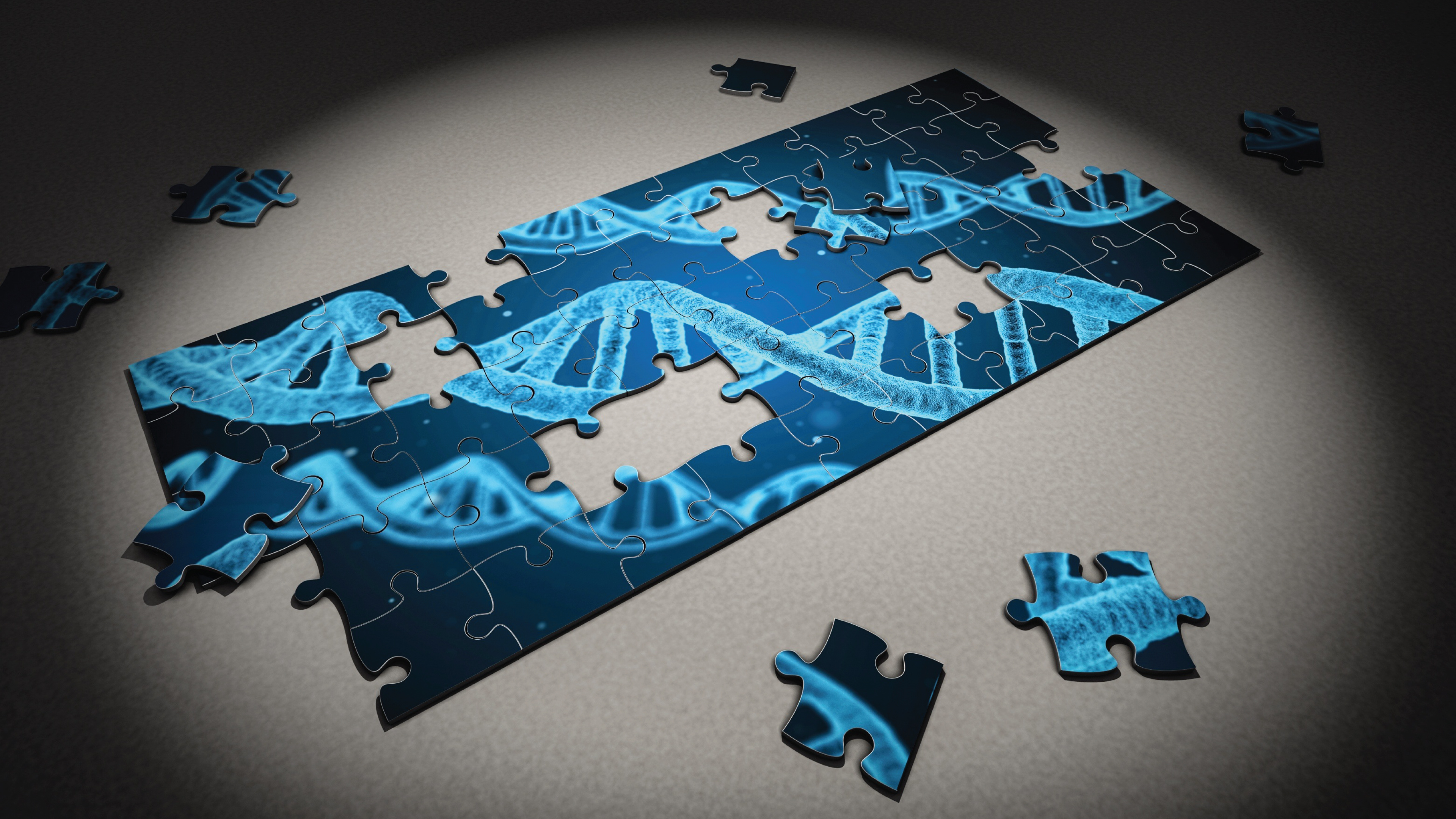 Genetics, Evolution, and Creation (2020)