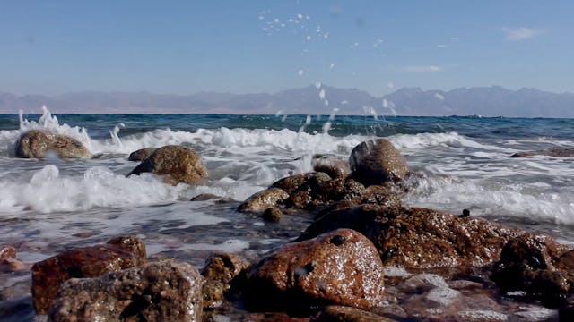 The Next Patterns Film