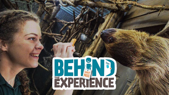 Behind the Experience Promo