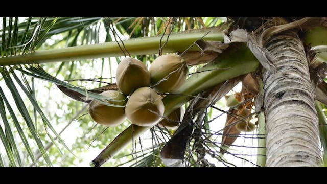 S2E5 Equator Island Adventure Part 2