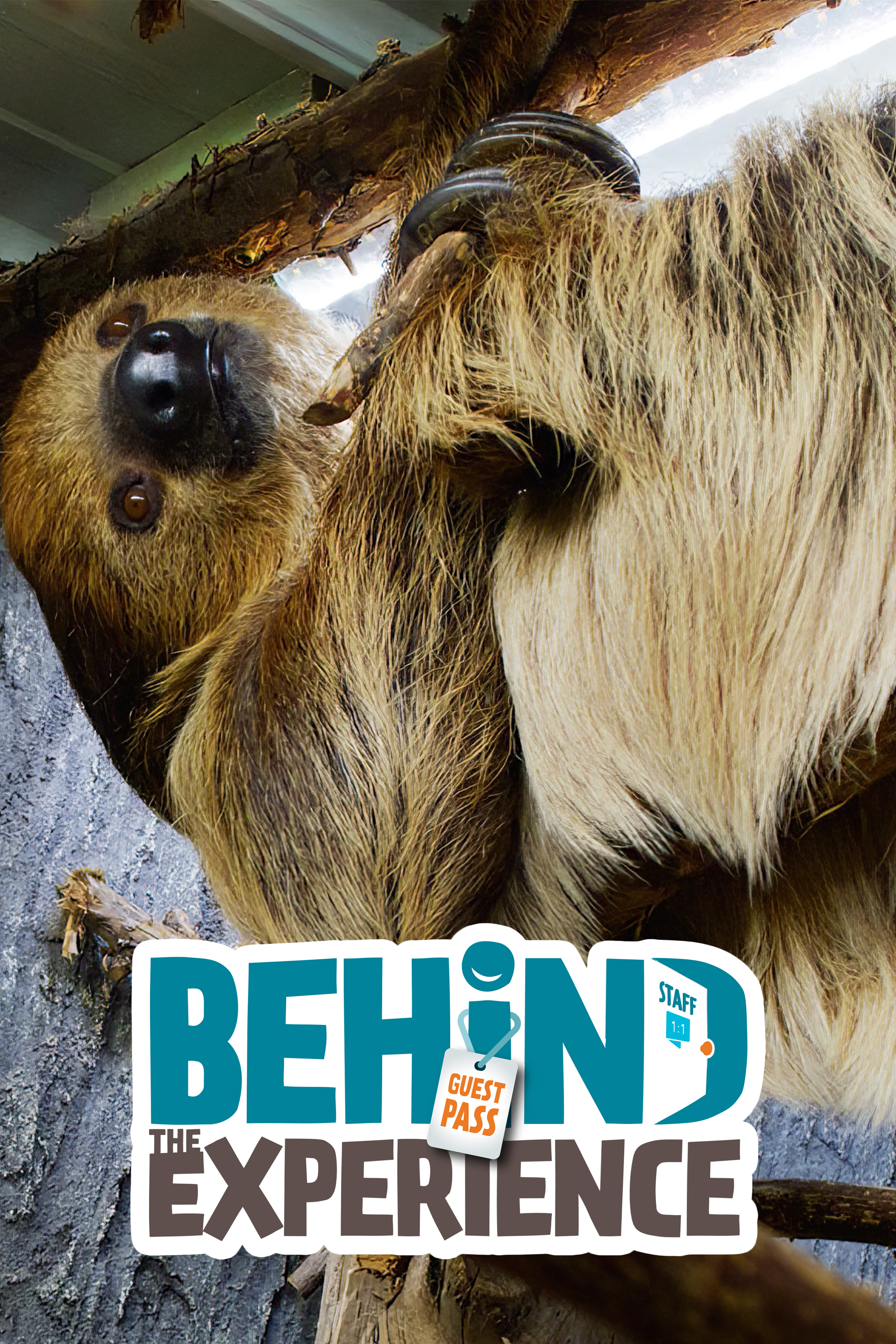 Behind the Experience