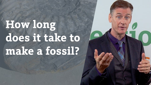 How long does it take to make a fossil?