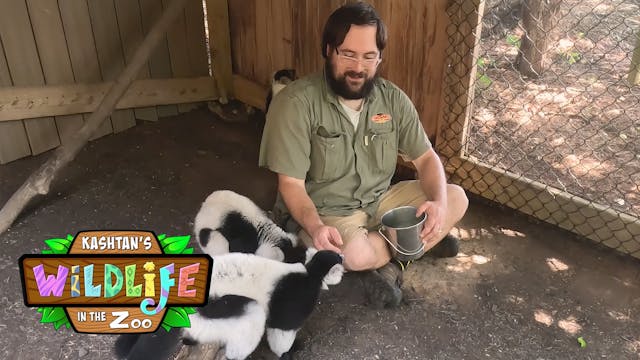 S3E5 New Zookeepers
