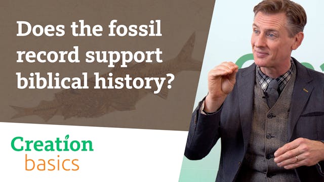 S2E11 Does the fossil record support ...