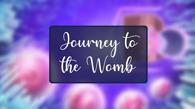 February 2024: Journey to the Womb