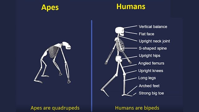 The Uniqueness of Man - Stuart Burgess