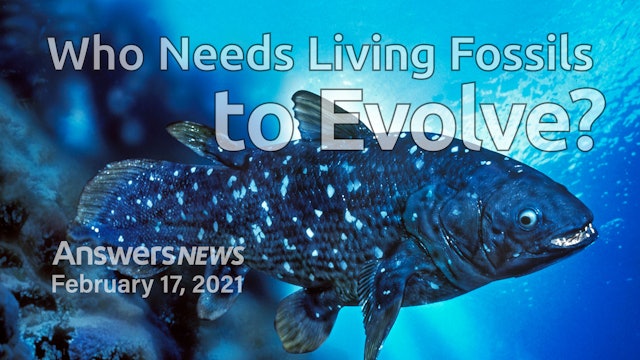 2/17 Who Needs Living Fossils to Evolve?