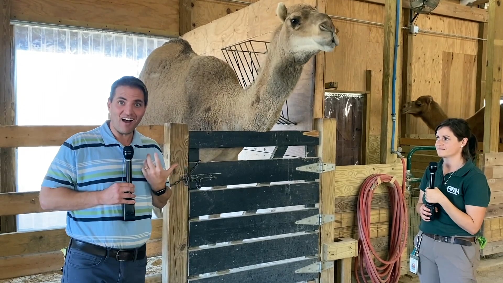 Overview of the Epistles