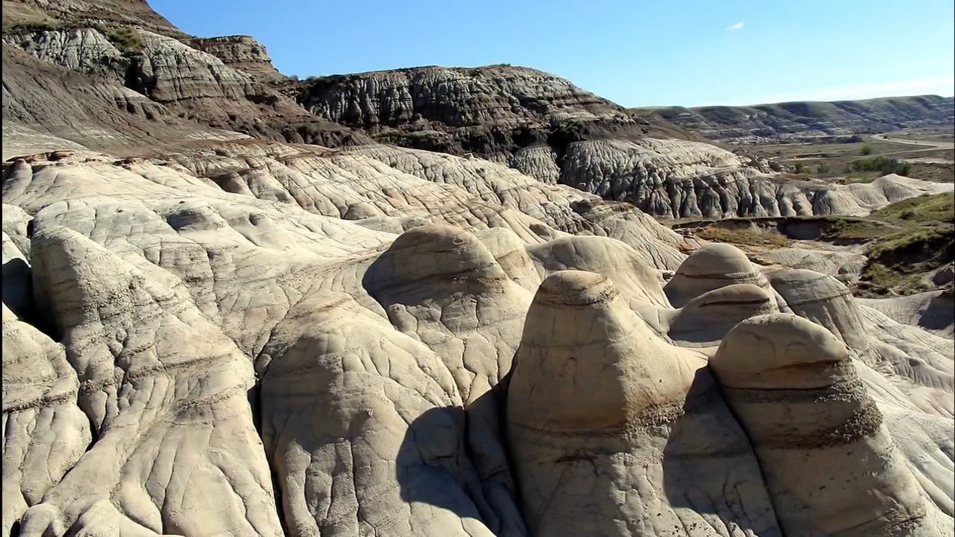 Does the Bible Describe a Sauropod Dinosaur Behemoth?