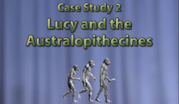 The Origin of Humans, Part 3