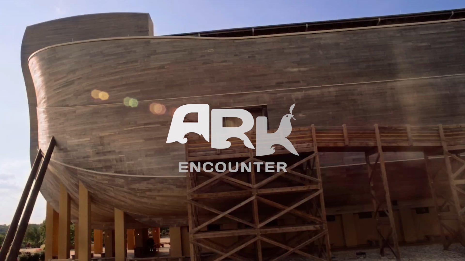 Amazing! (Gracie Live)