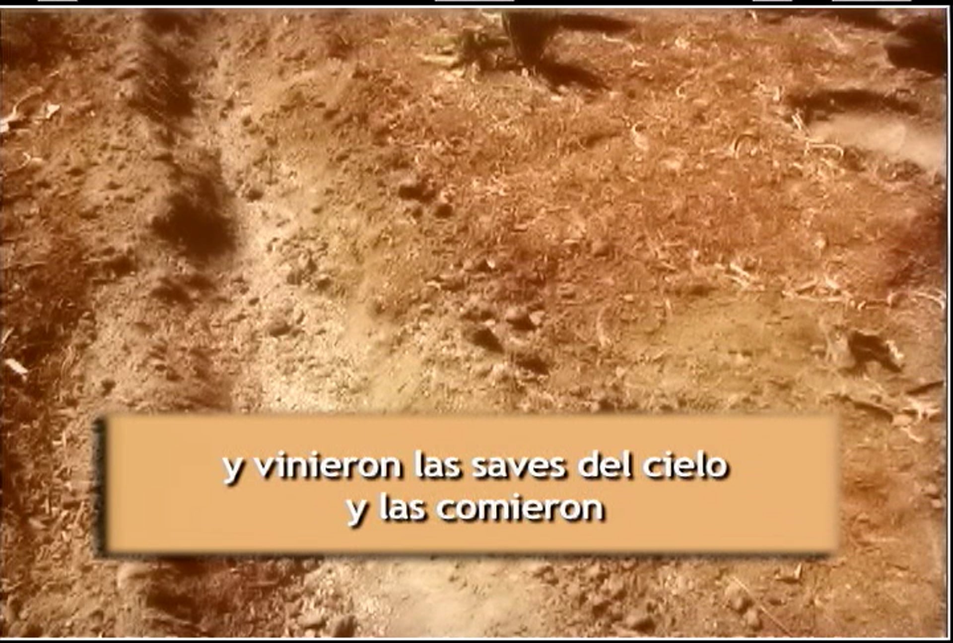 Conversion Verdadera y Falsa