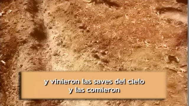 Conversion Verdadera y Falsa