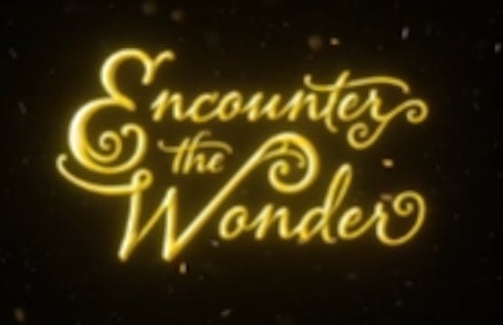 S1E47 Encounter the Wonder (2019)