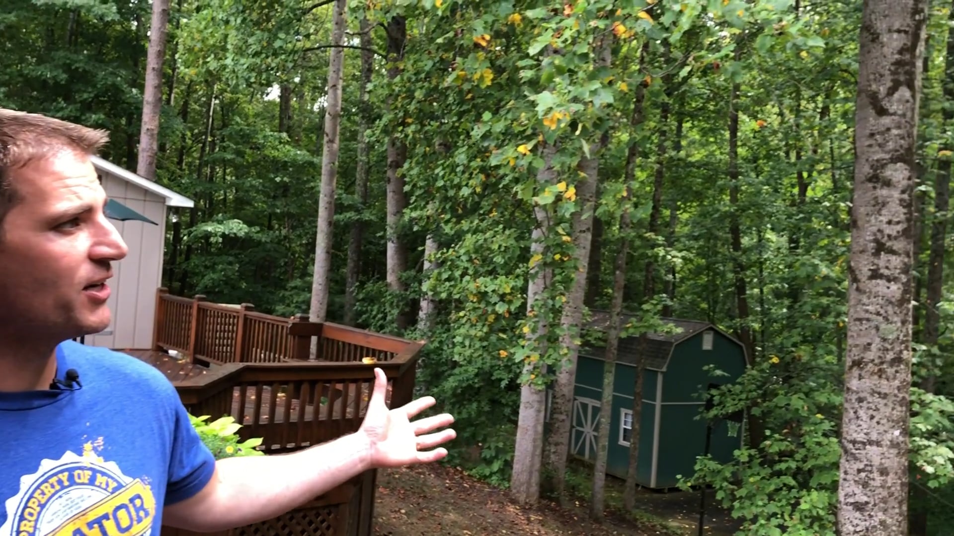 Jacob Steals the Blessing