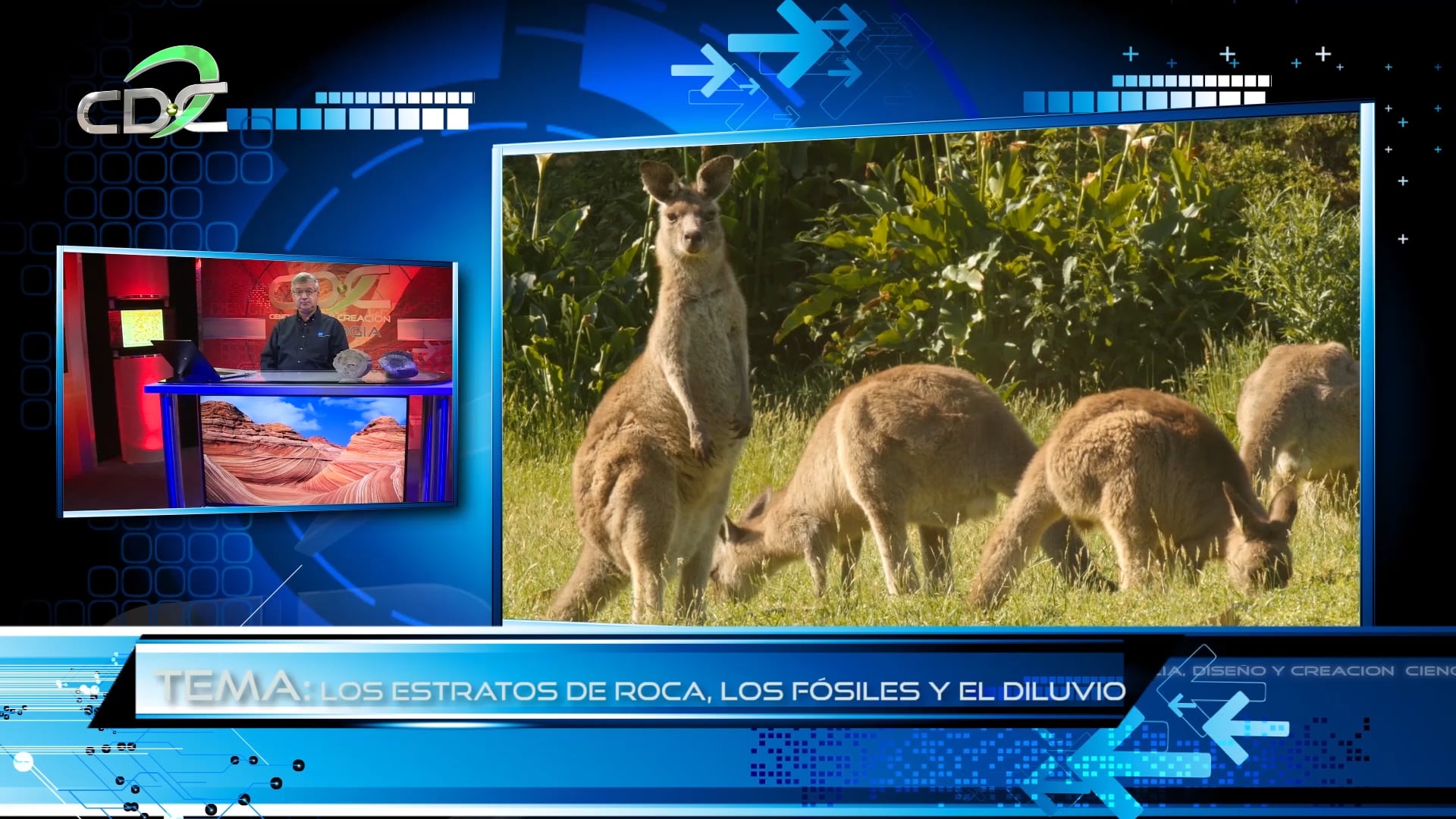 La Geologdel Diluvio Episodio 5