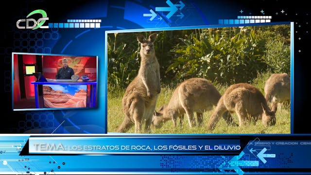 La Geologdel Diluvio Episodio 5