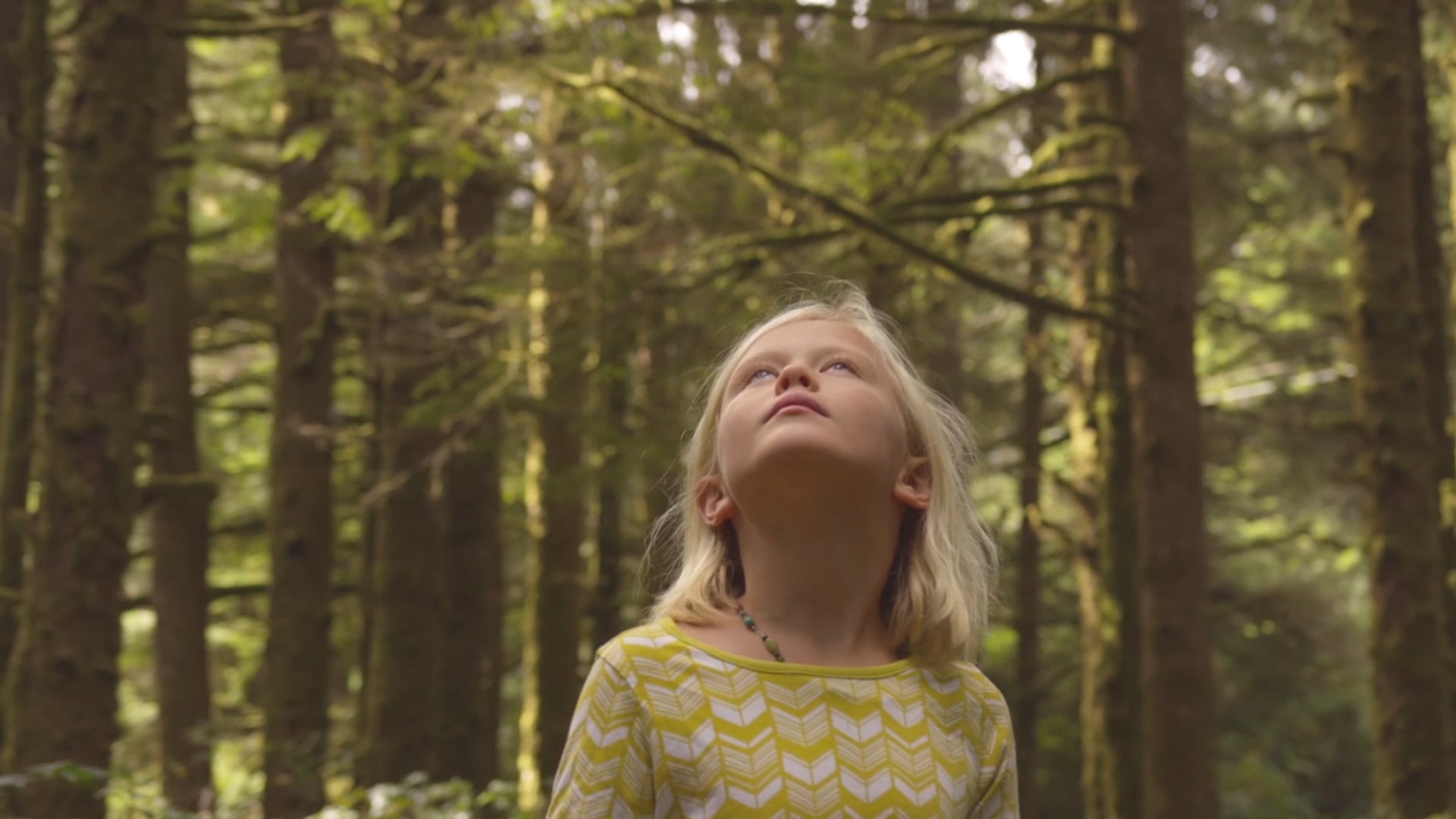 The Spirit of the Lord (Isaiah 61:1)