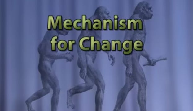 The Origin of Humans, Part 4