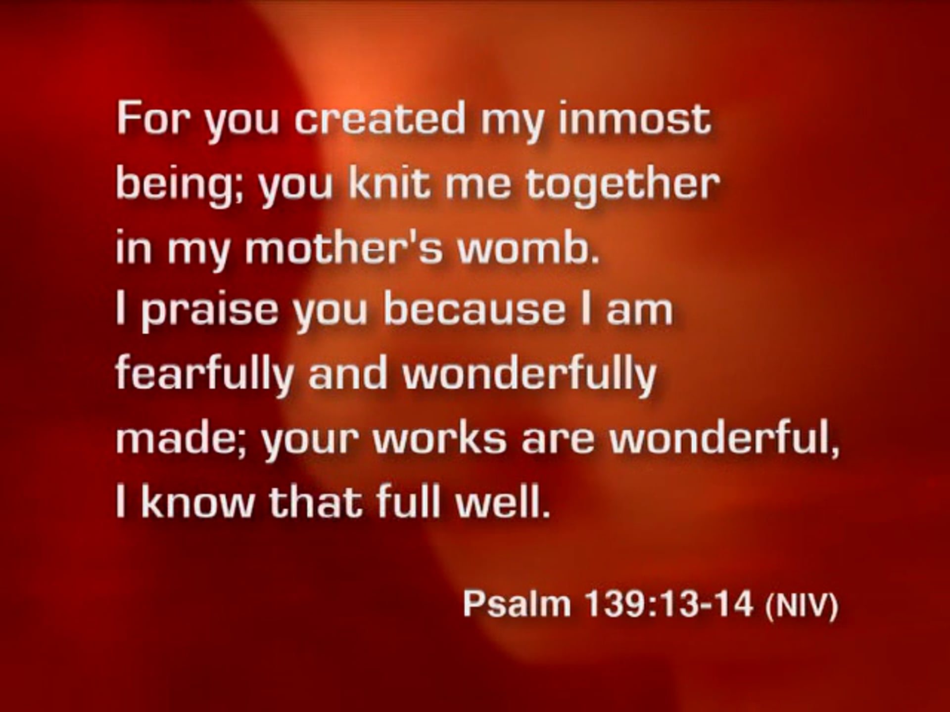Fearfully & Wonderfully Made (2005)