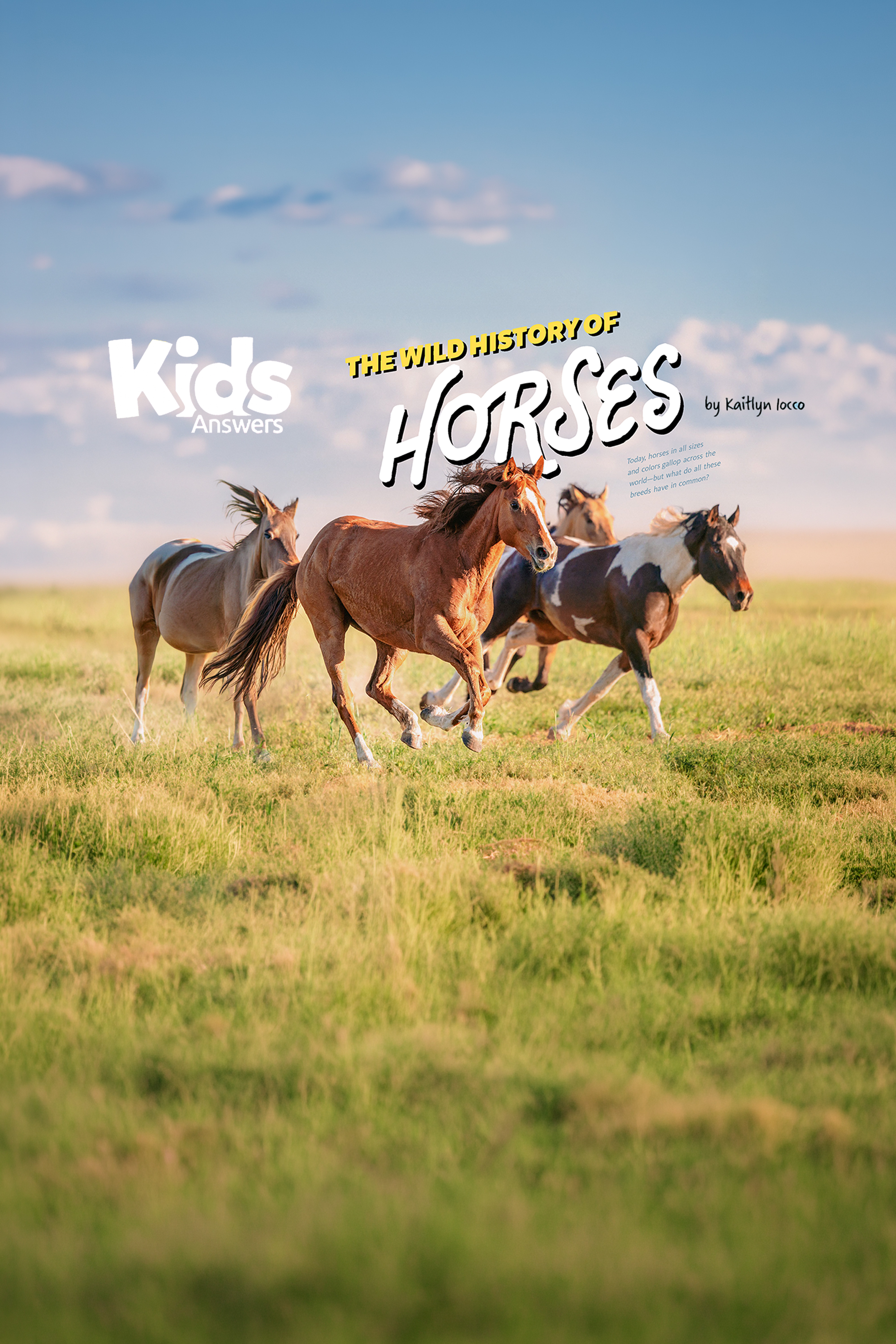 The Wild History Of Horses (Kids Audio Article)