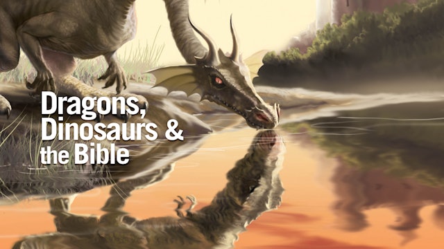 Dragons, Dinosaurs & the Bible