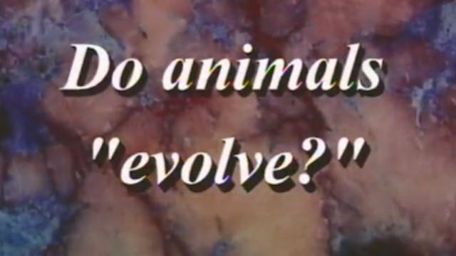 Do Animals Evolve‚? Part 1