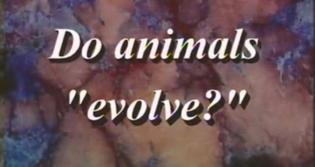 Do Animals “Evolve”? Part 1