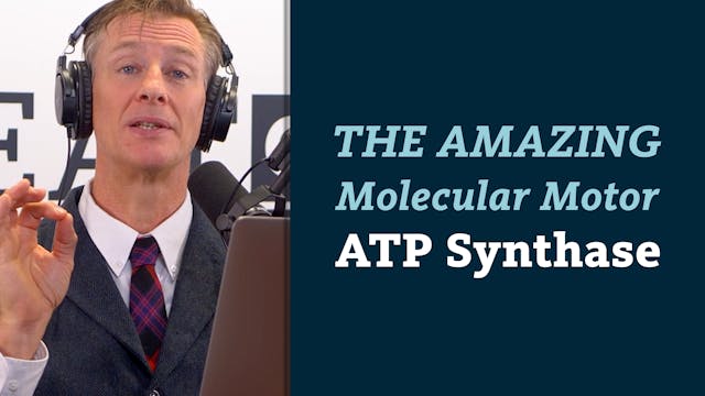 The amazing molecular motor- ATP synt...