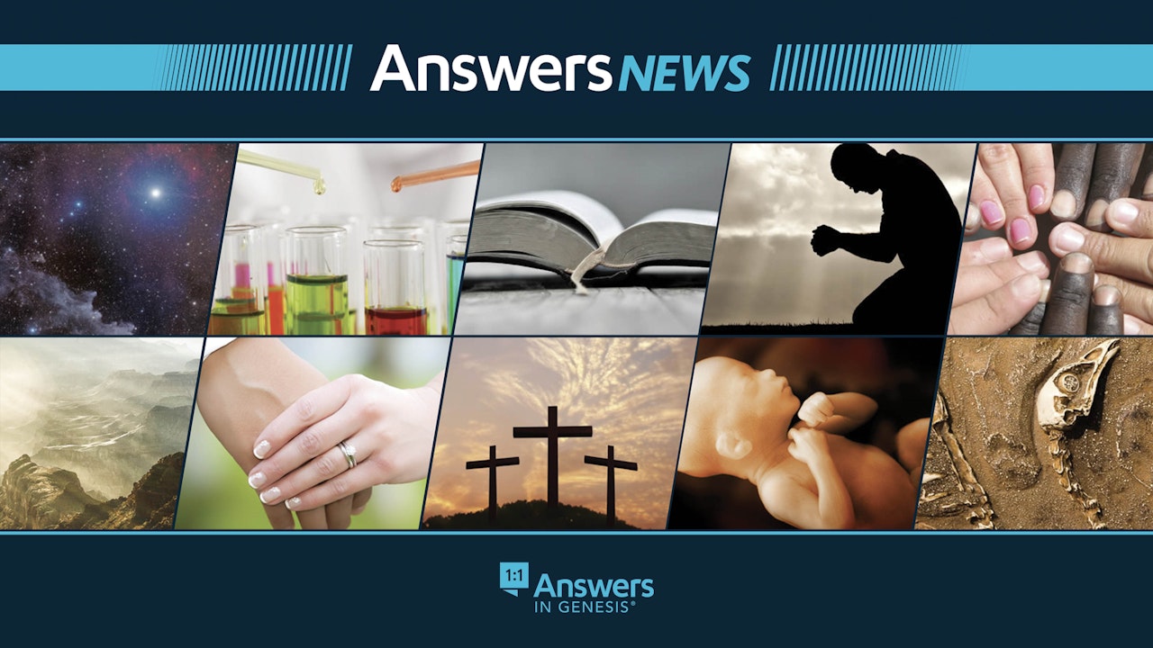 Answers News Excerpts