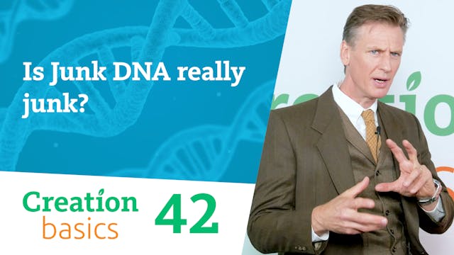 S1E42 Is Junk DNA really junk?