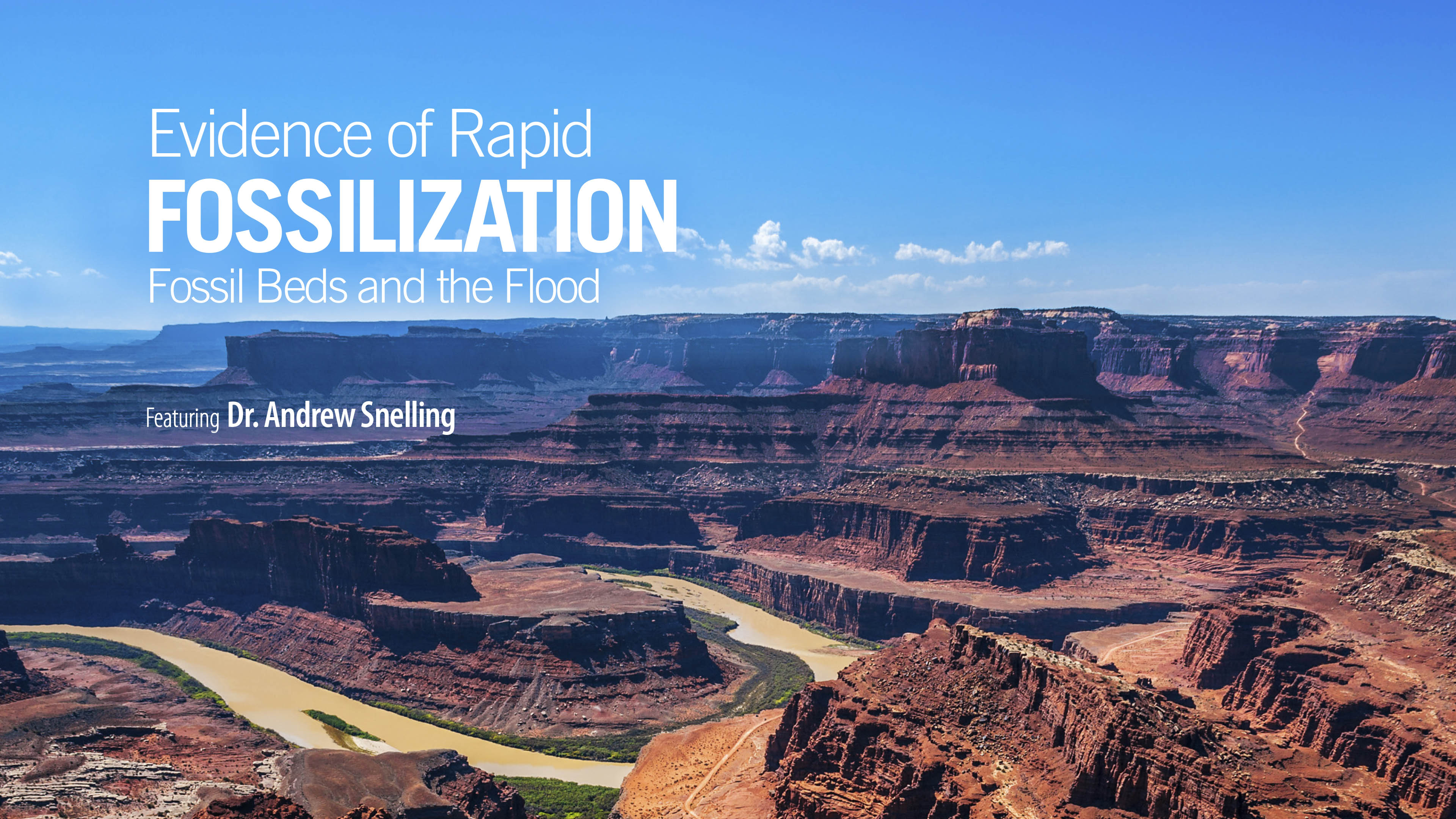 Evidence of Rapid Fossilization - Dr. Andrew Snelling