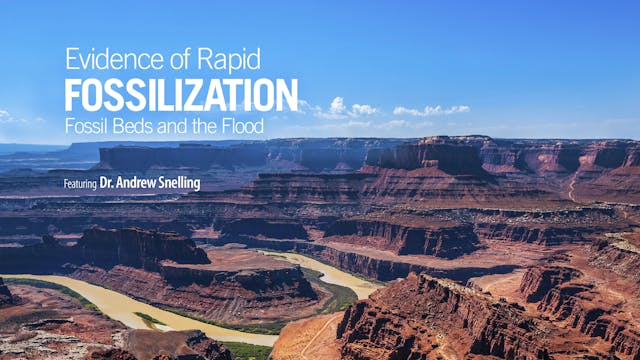 Evidence of Rapid Fossilization - Dr....