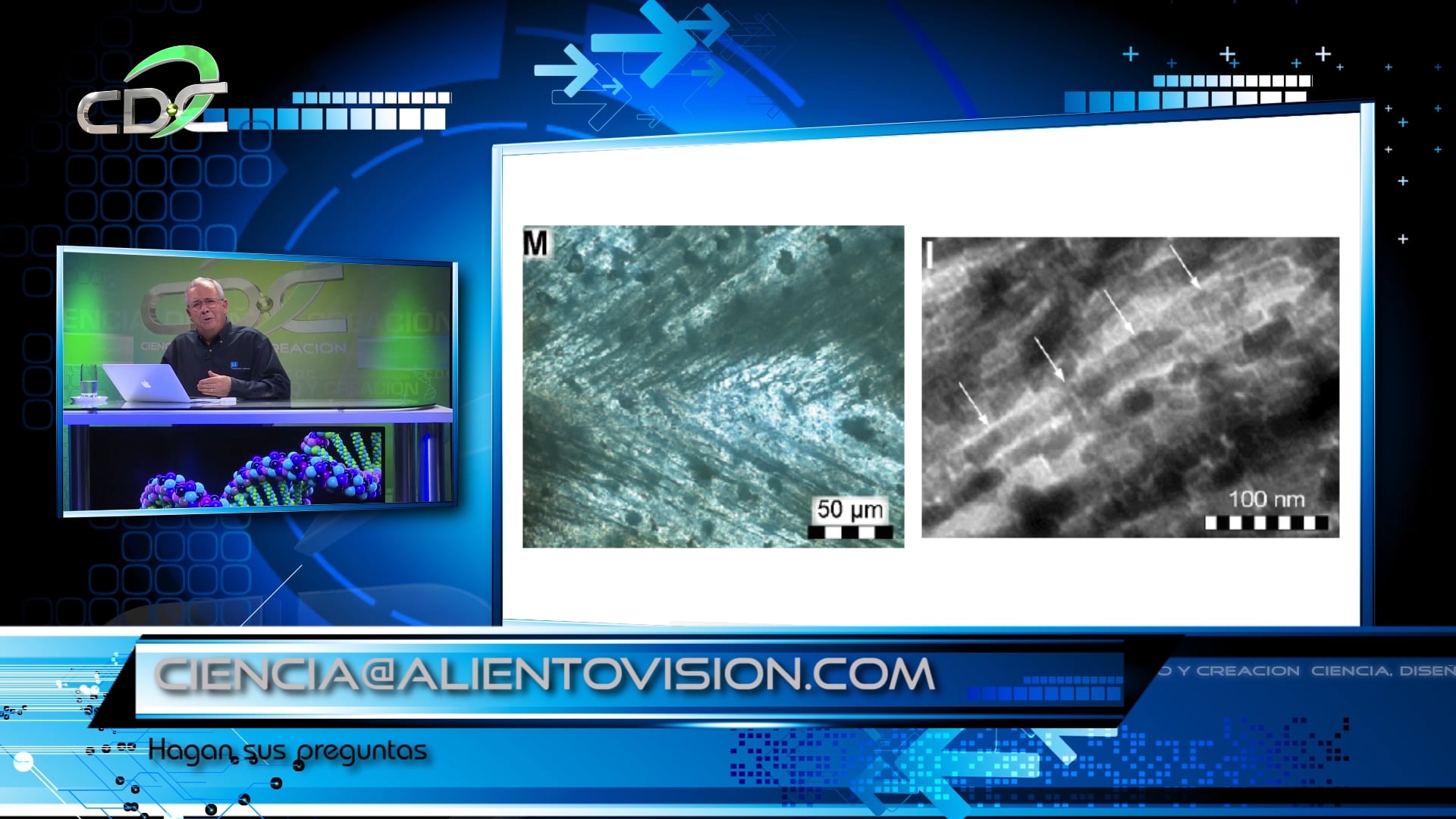 Los Dinosaurios Episodio 3