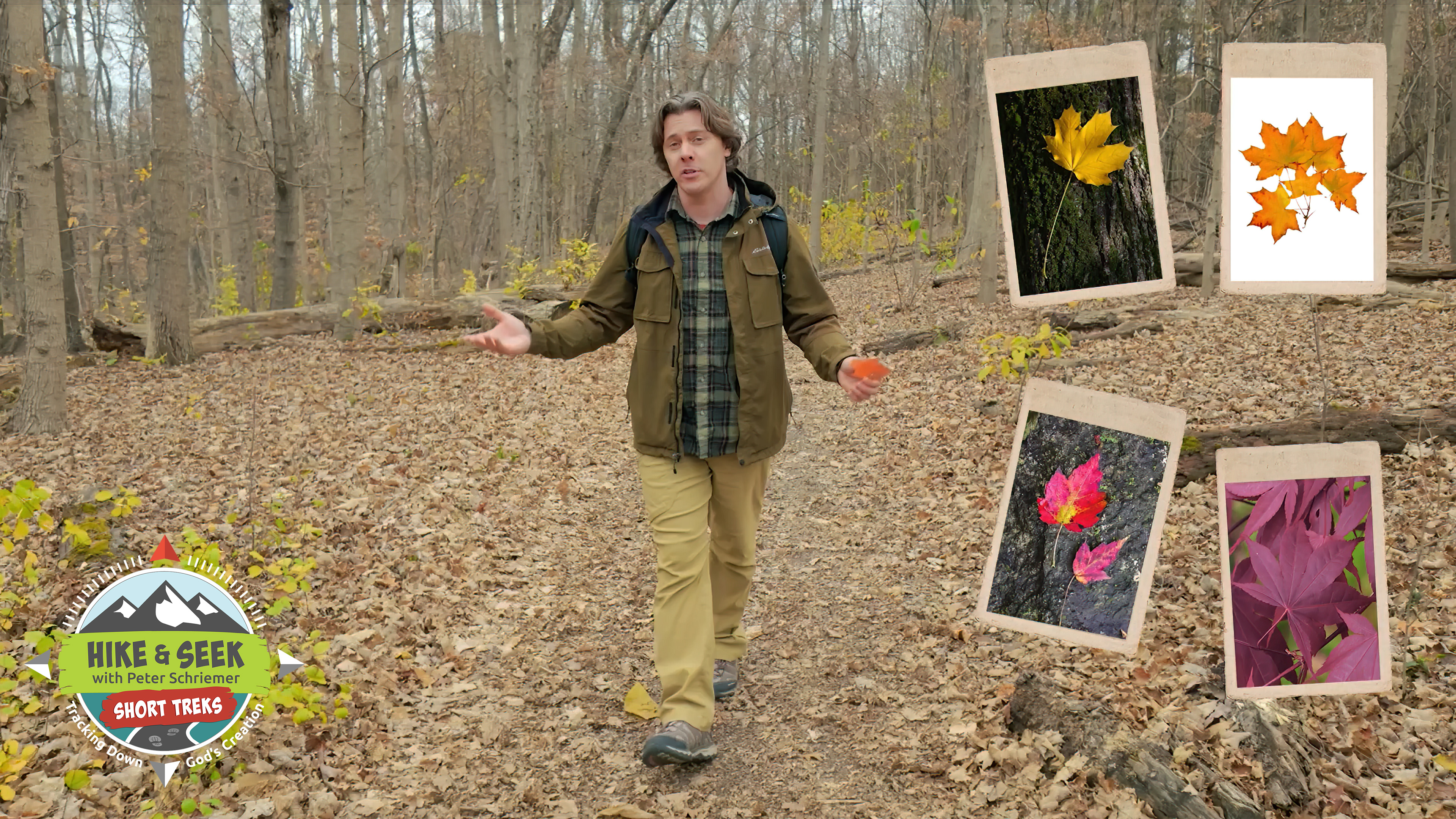 S1E1 Leaf Scavenger Hunt