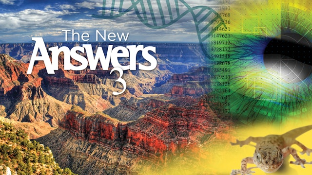 The New Answers 3