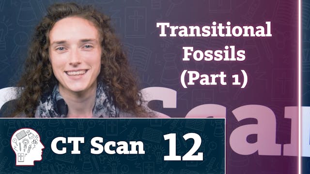 Transitional Fossils (Part 1)