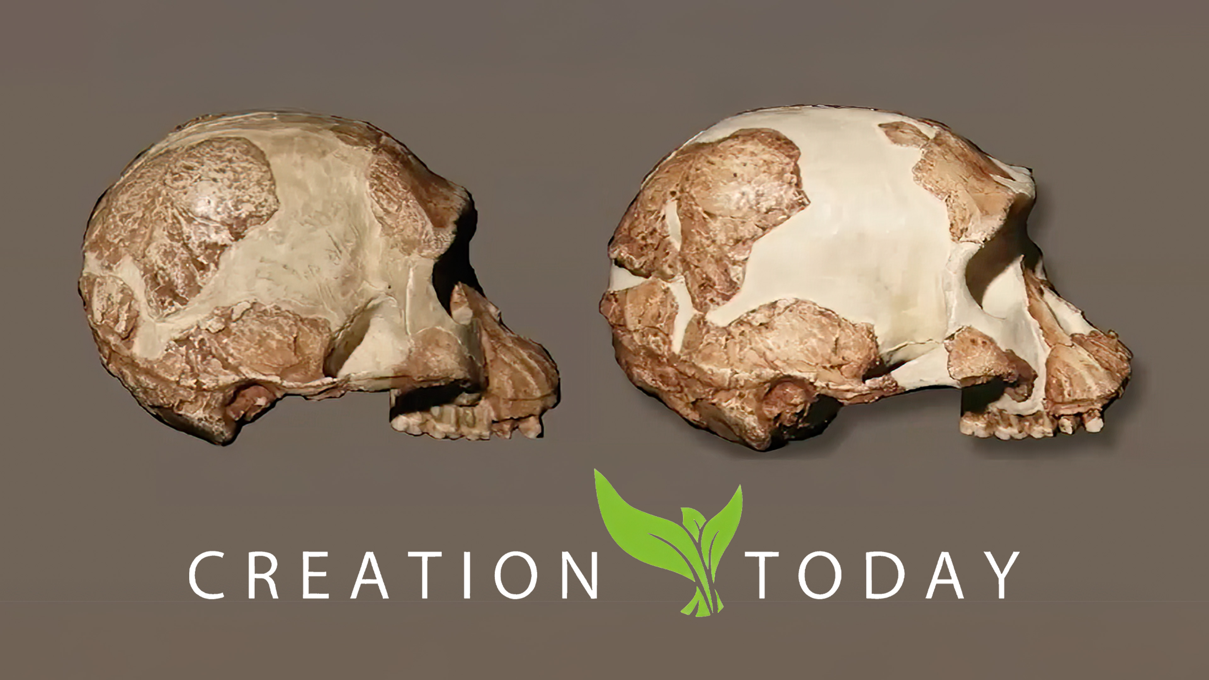 S1E9 Widespread Fraud Discovered in Museums