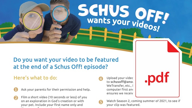 Submit Your Video to Schus Off!